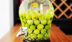 玻璃酵素瓶制作方法是什么？酵素的好處是什么？